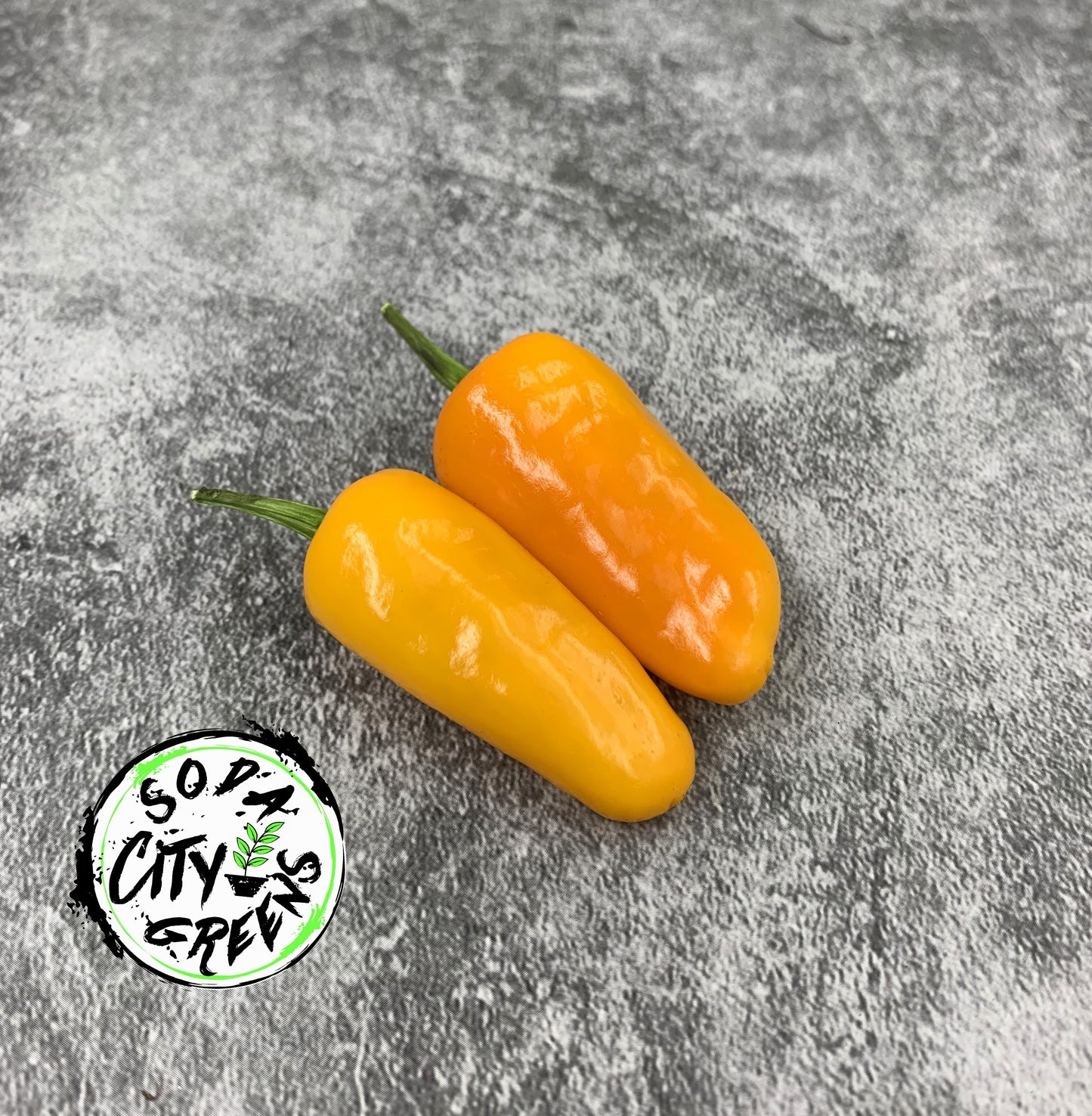Sweet Heat Pepper Seed Variety Pack (You choose!)