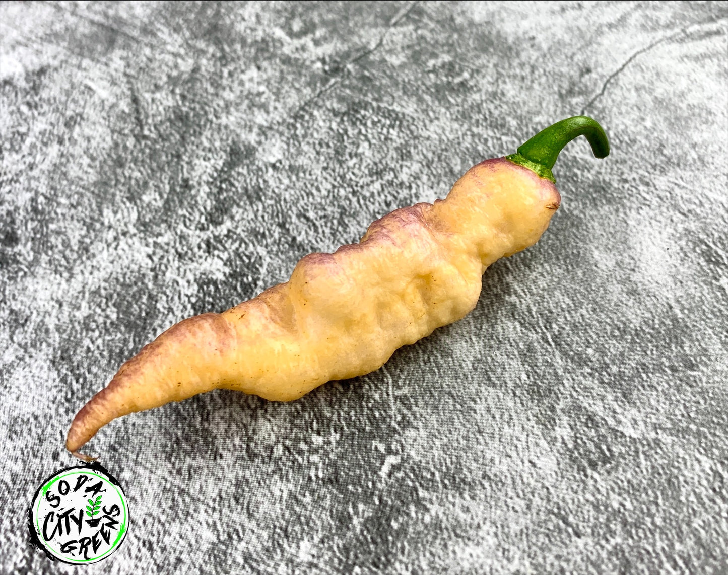 White Pepper Seed Variety Pack (You choose!)