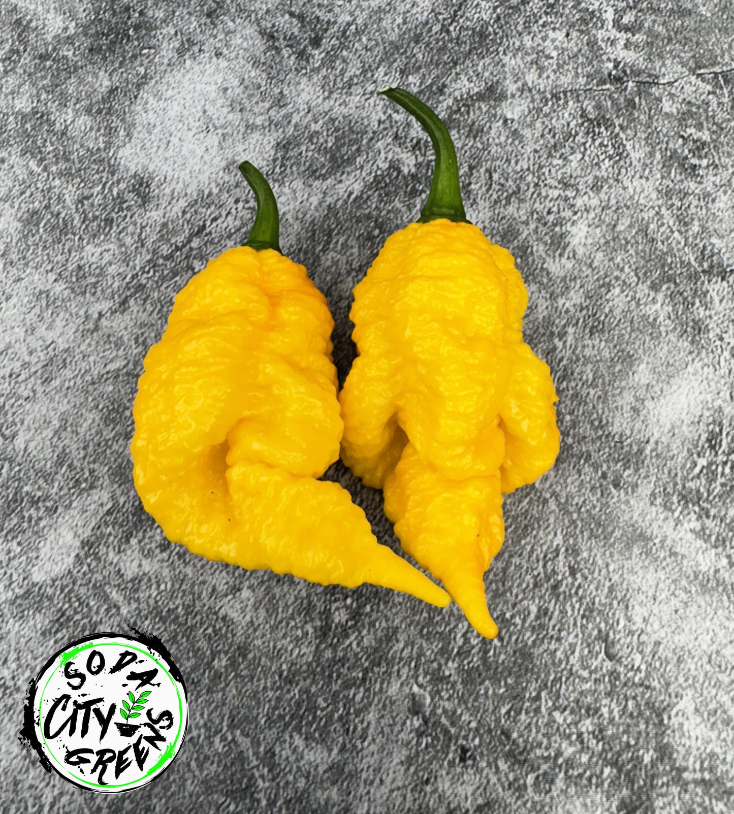 Dystopia Pepper Seeds