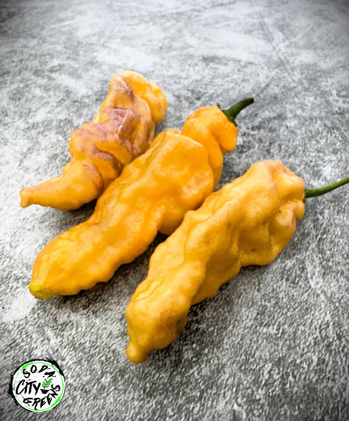 Eye Candy Pepper Seeds