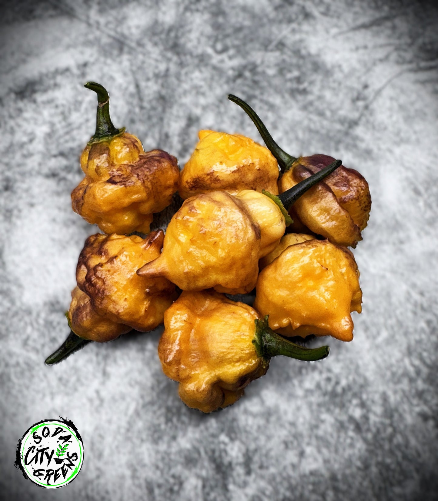 Eye Candy Pepper Seeds