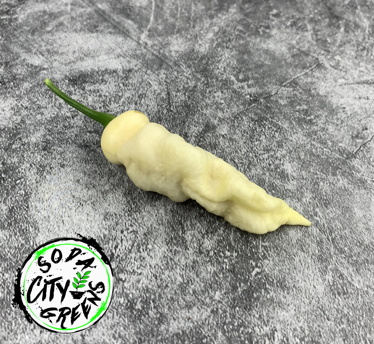 Faddas White Pepper Seeds