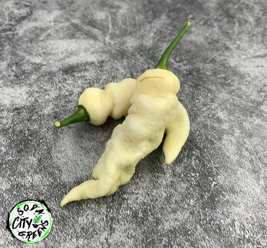 Faddas White Pepper Seeds