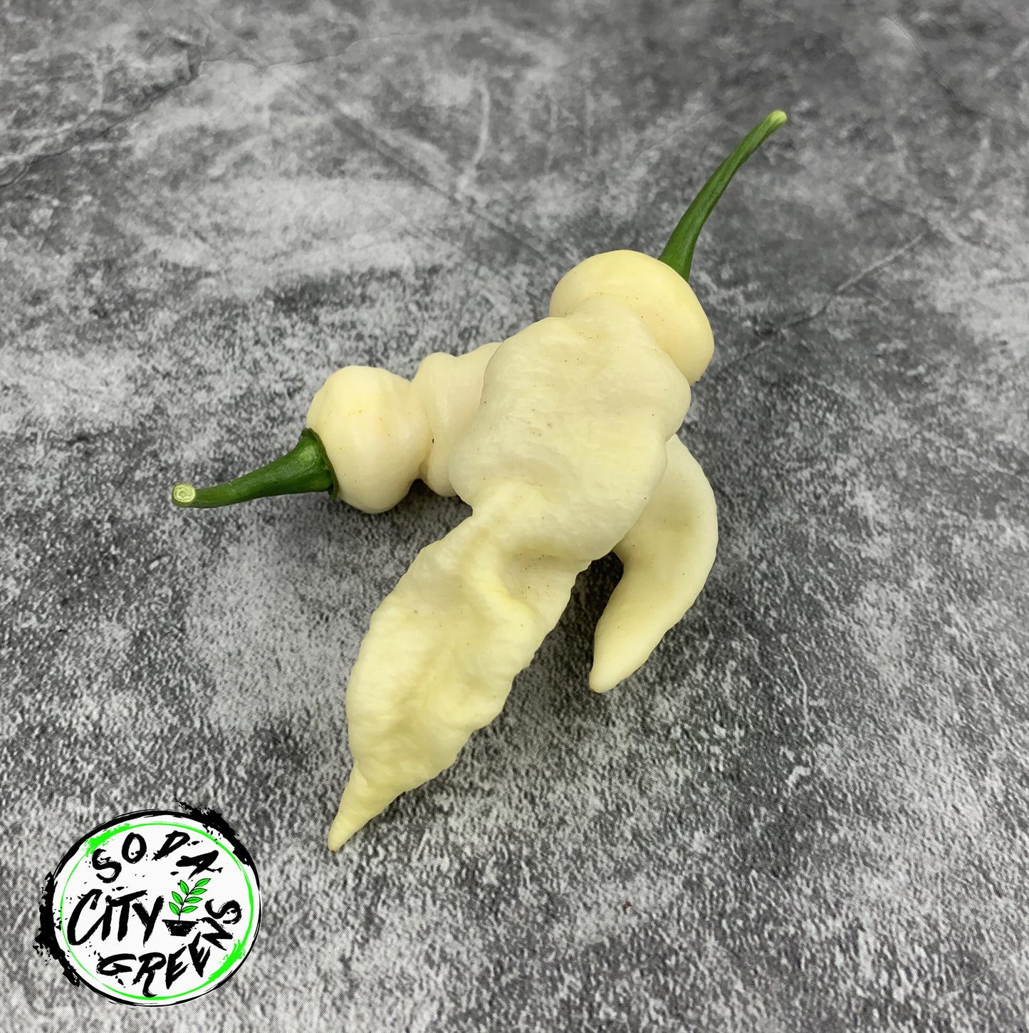 White Ghost Pepper Seeds- Sinister Pepper Series