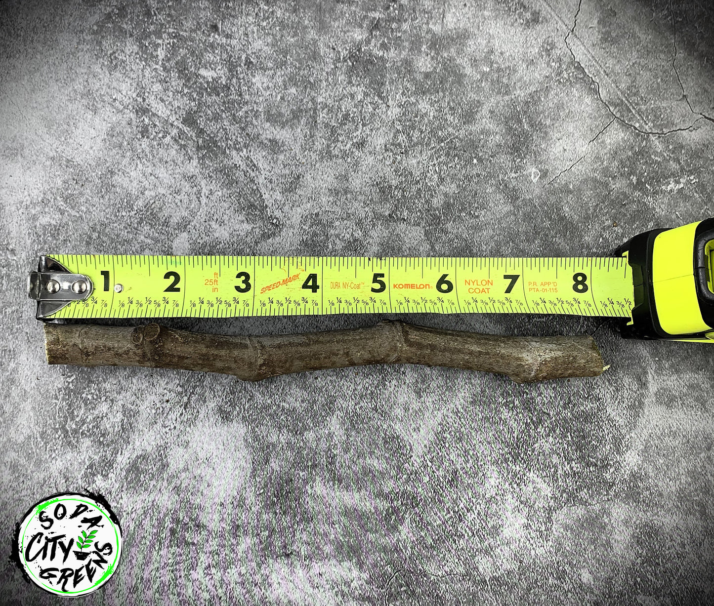 Celeste Fig Cuttings- Bare Root