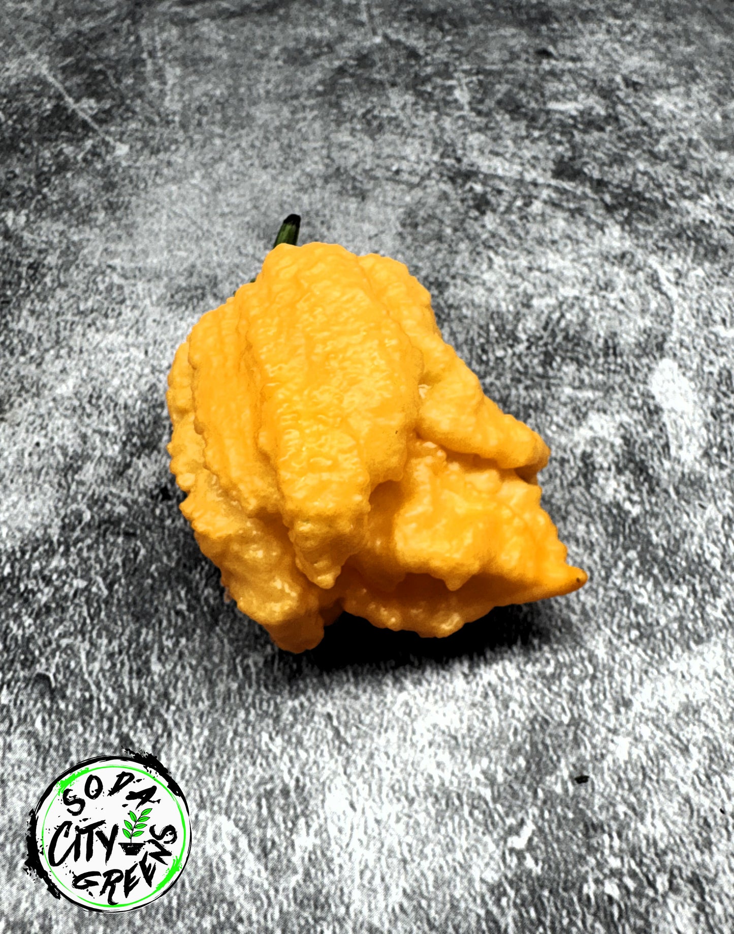 Fried Chicken Pepper Seeds
