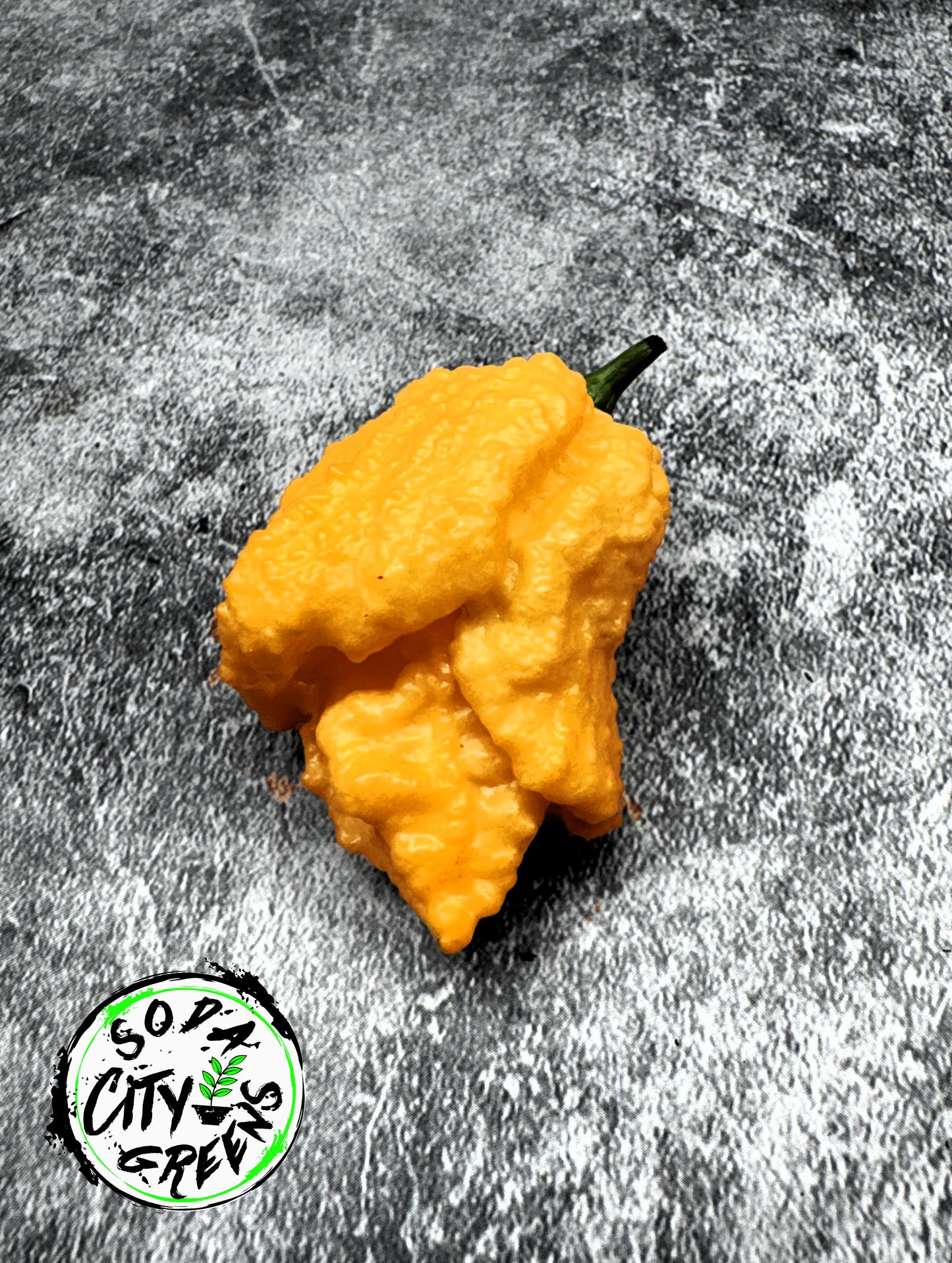 Fried Chicken Pepper Seeds
