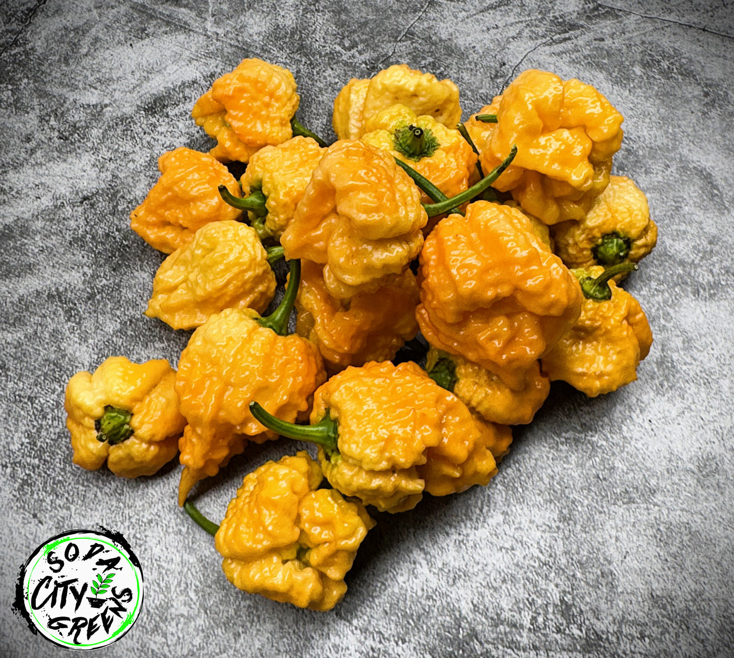 Fried Chicken Pepper Seeds