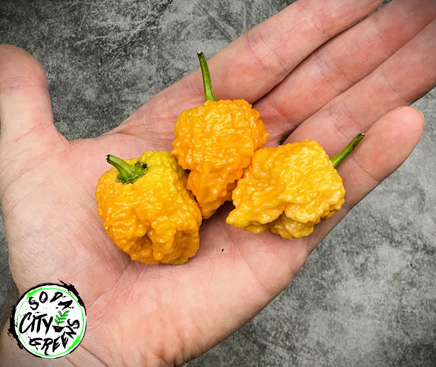Fried Chicken Pepper Seeds