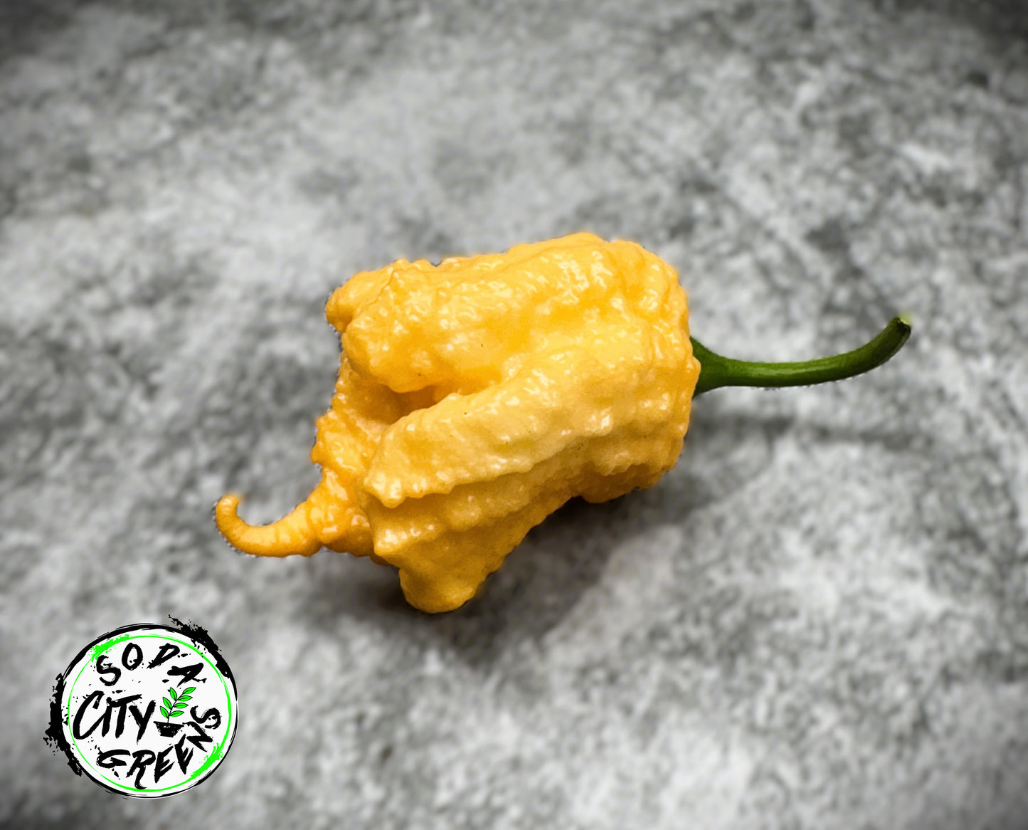 Fujiwhara Pepper Seeds