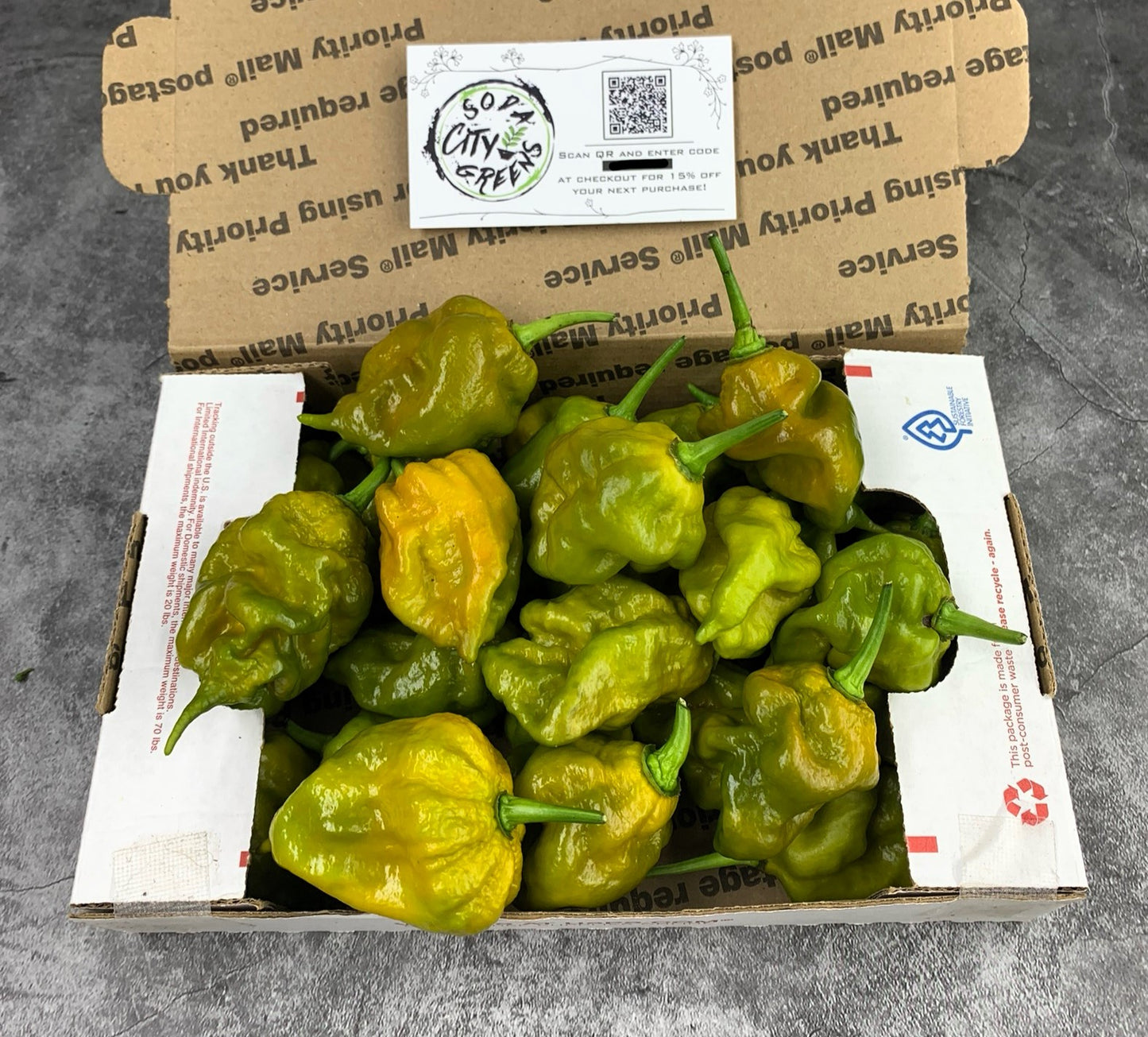 Fresh Pepper Boxes