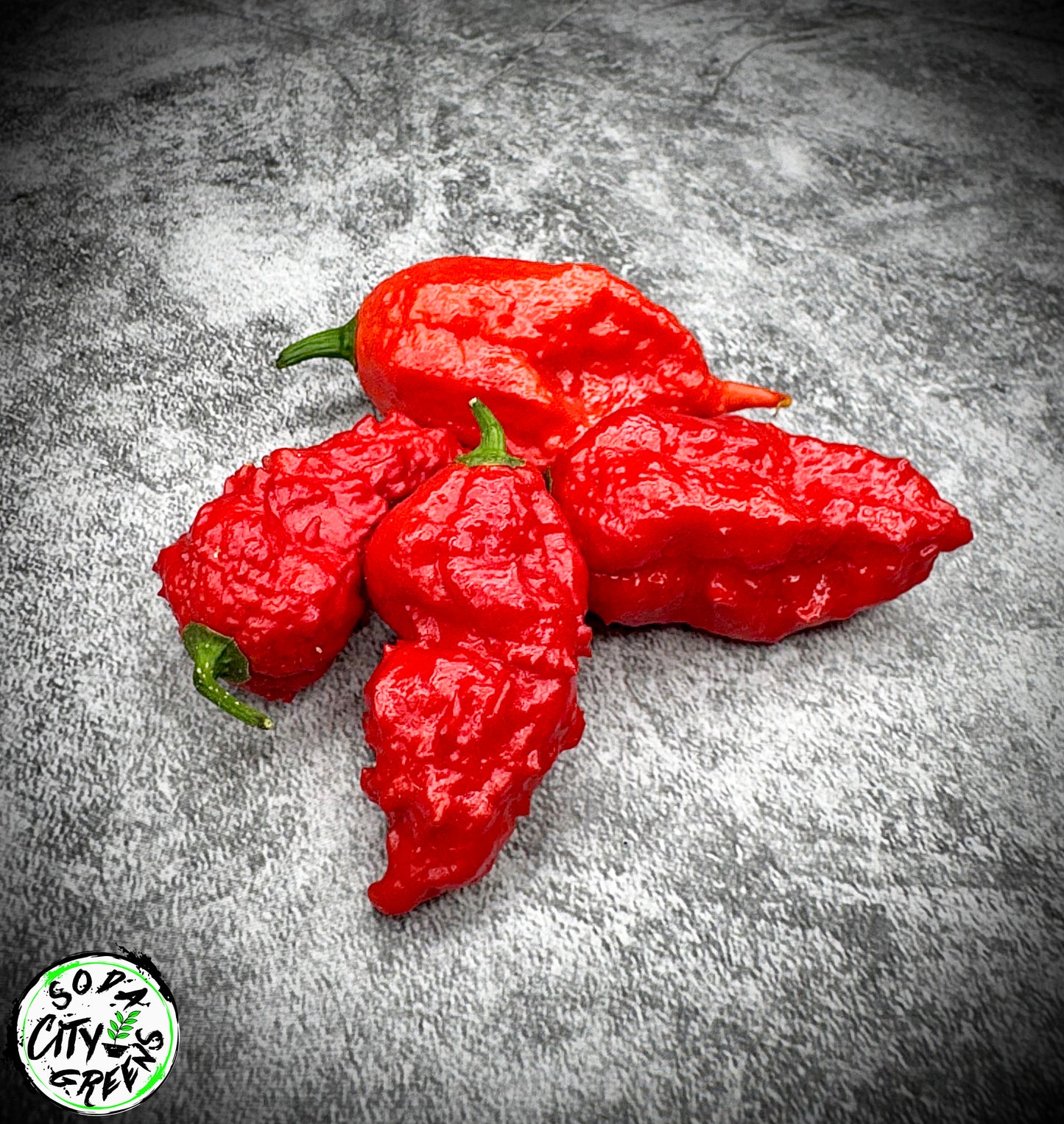Ghost Pepper (Bhut Jolokia) Seeds