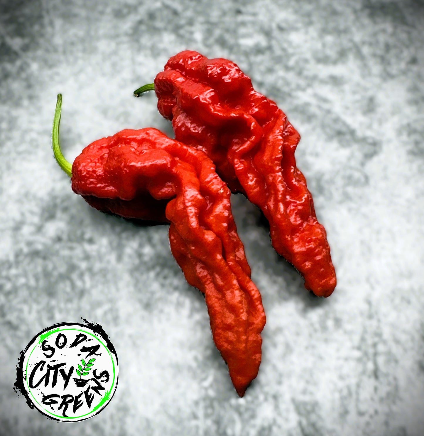 Super Ghost Pepper Seeds