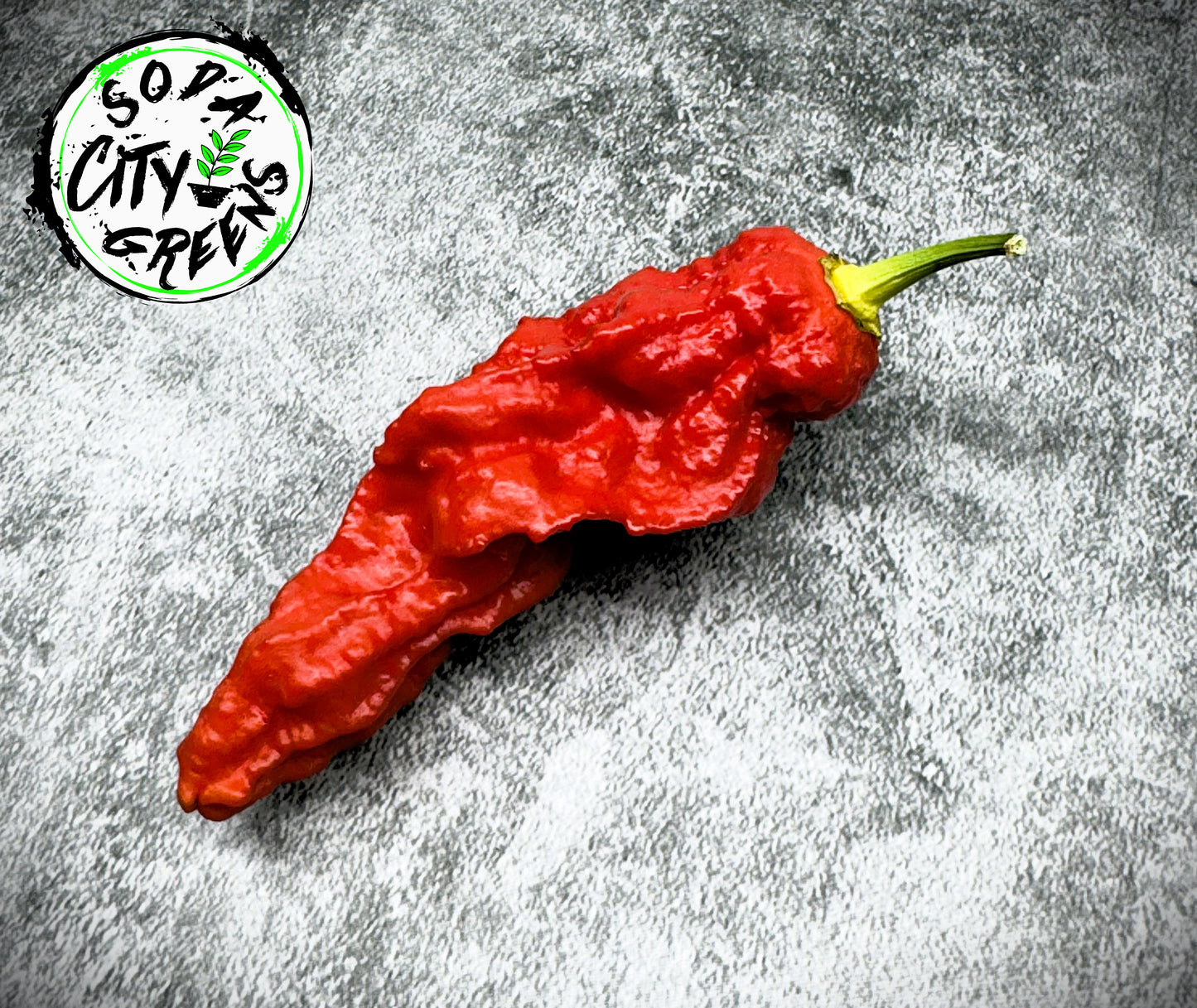Super Ghost Pepper Seeds