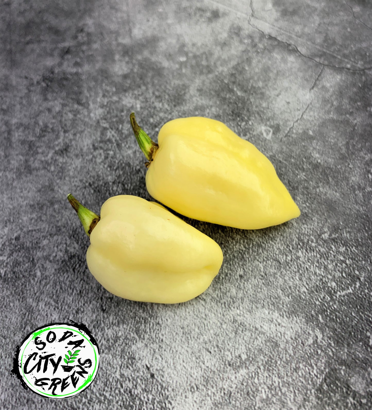 White Pepper Seed Variety Pack (You choose!)