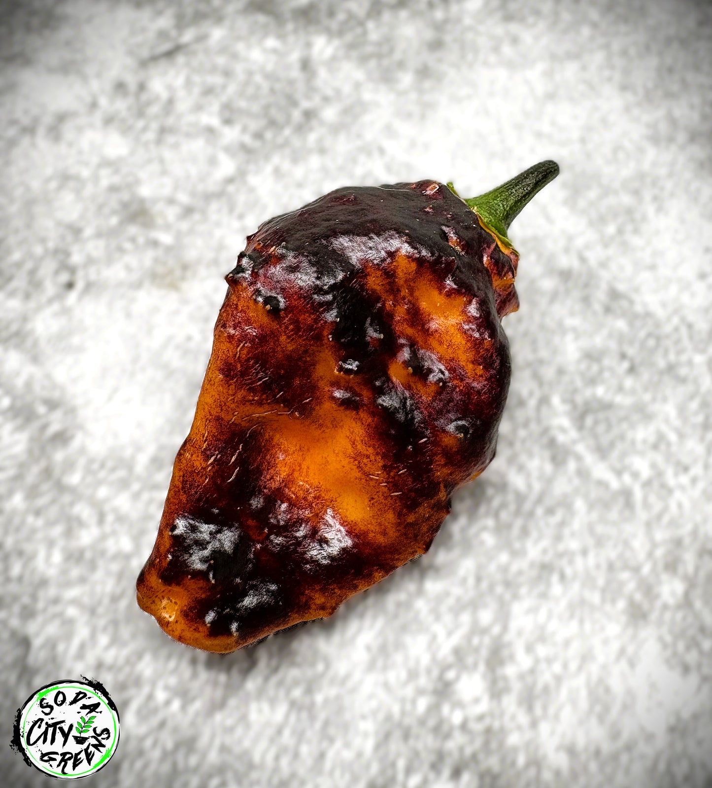 Hallows Eve Pepper Seeds