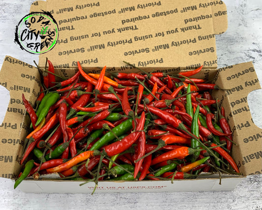 Fresh Thai Bird Chili Pepper Boxes