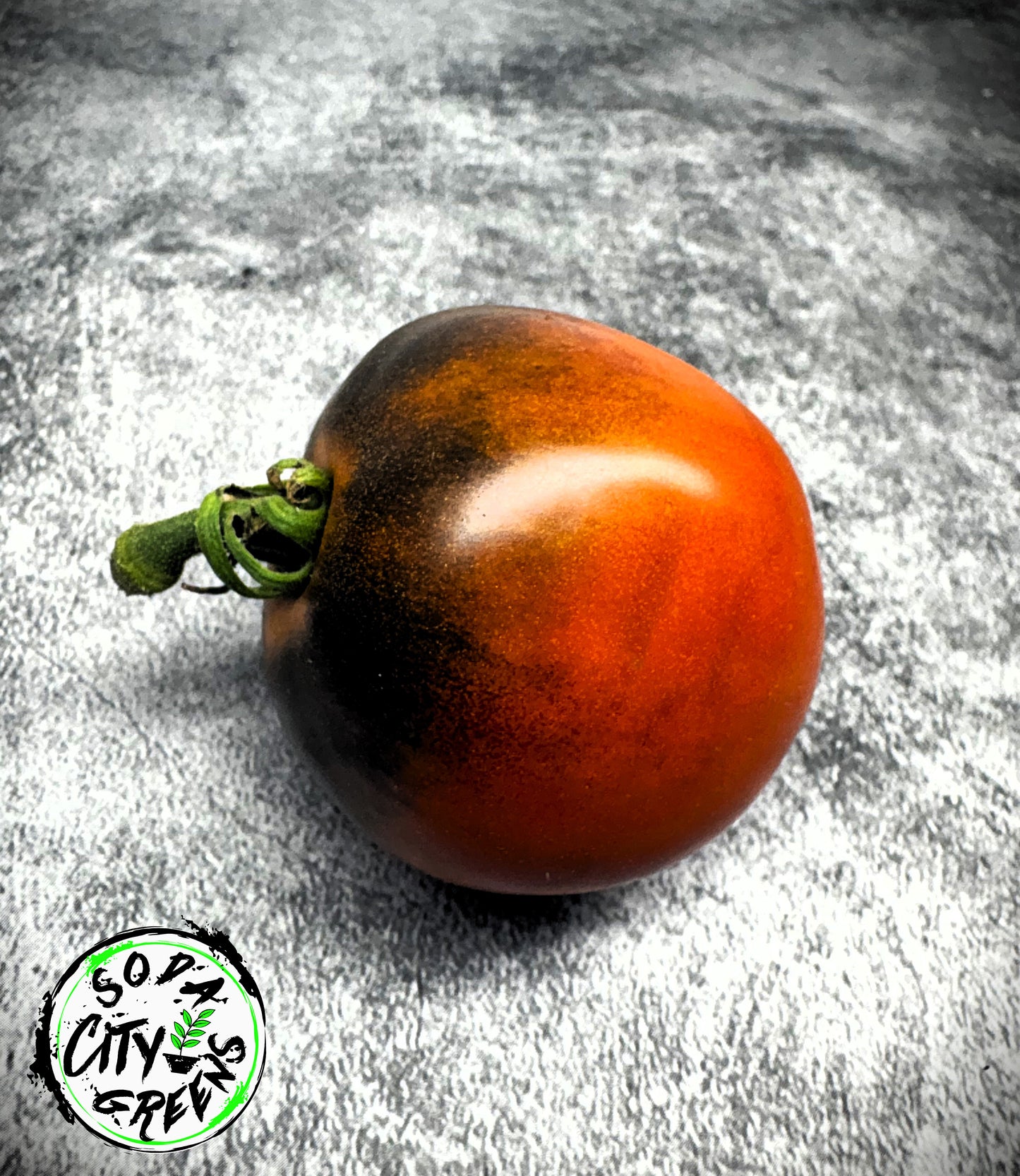 Indigo Blue Chocolate Tomato Seeds