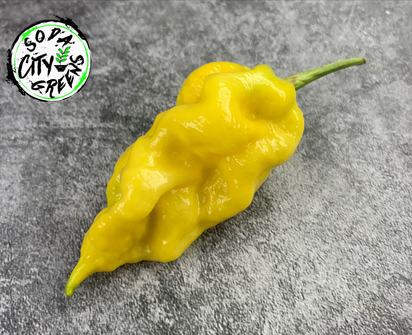 JRGS x Yellow Moruga Pepper Seeds