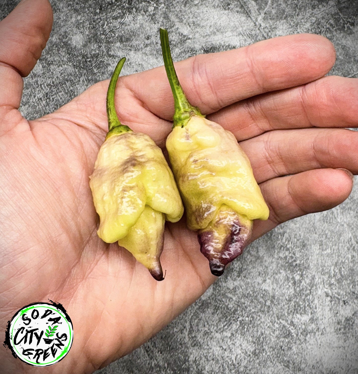Pink Lemon Reaper Pepper Seeds
