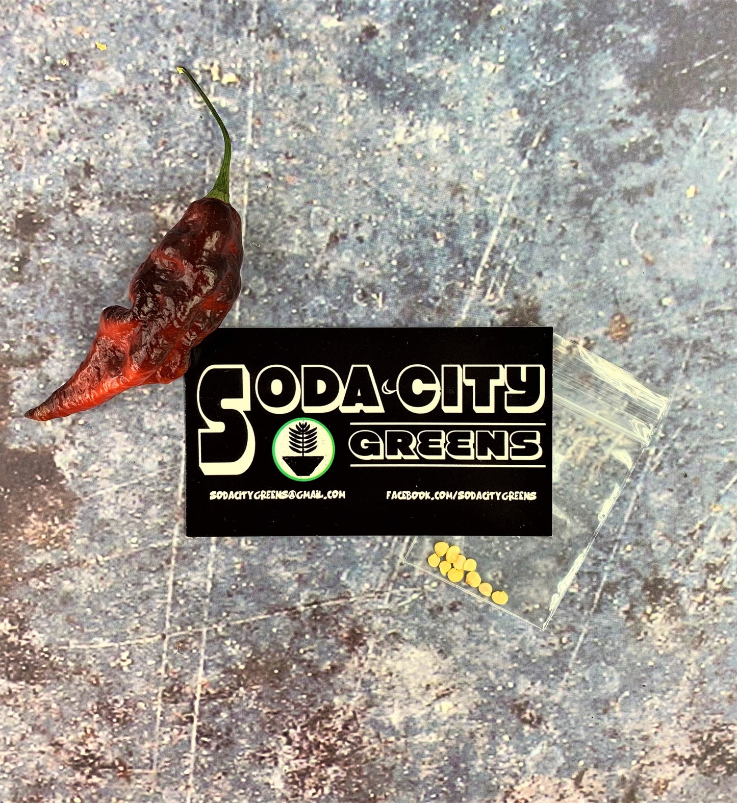 Jay's Purple Pepper Seeds