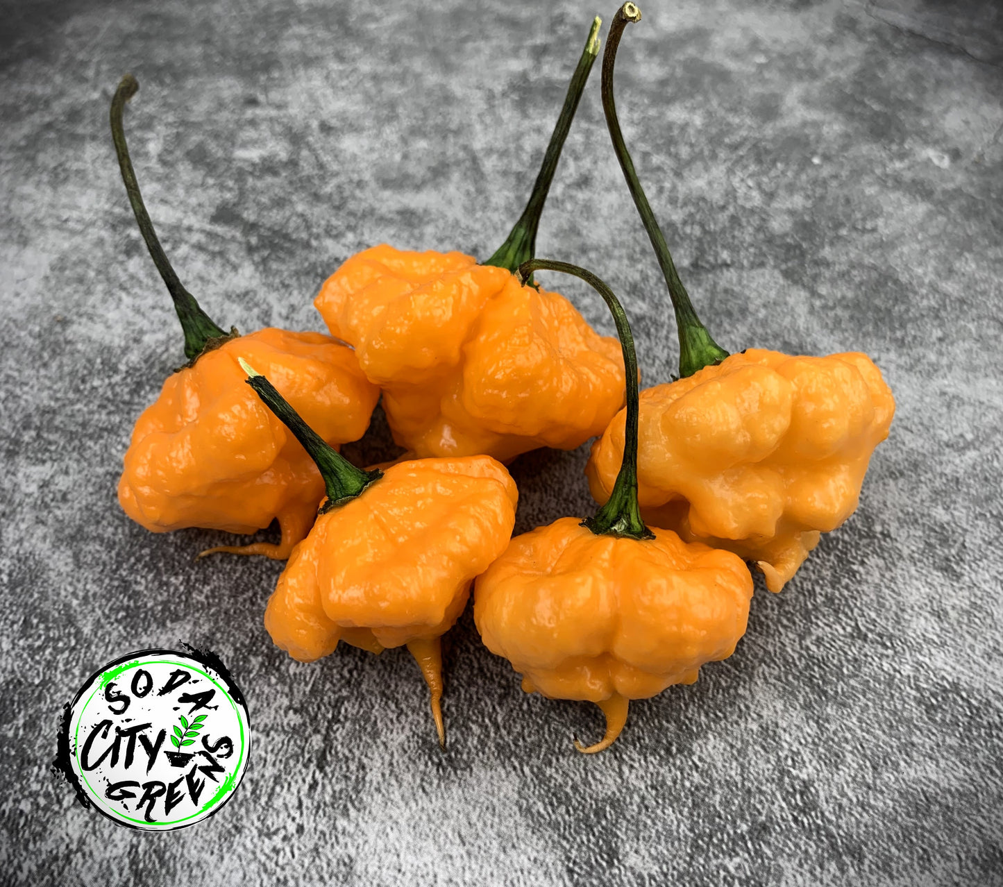 KS Peach Starrkist KSPS Pepper Seeds