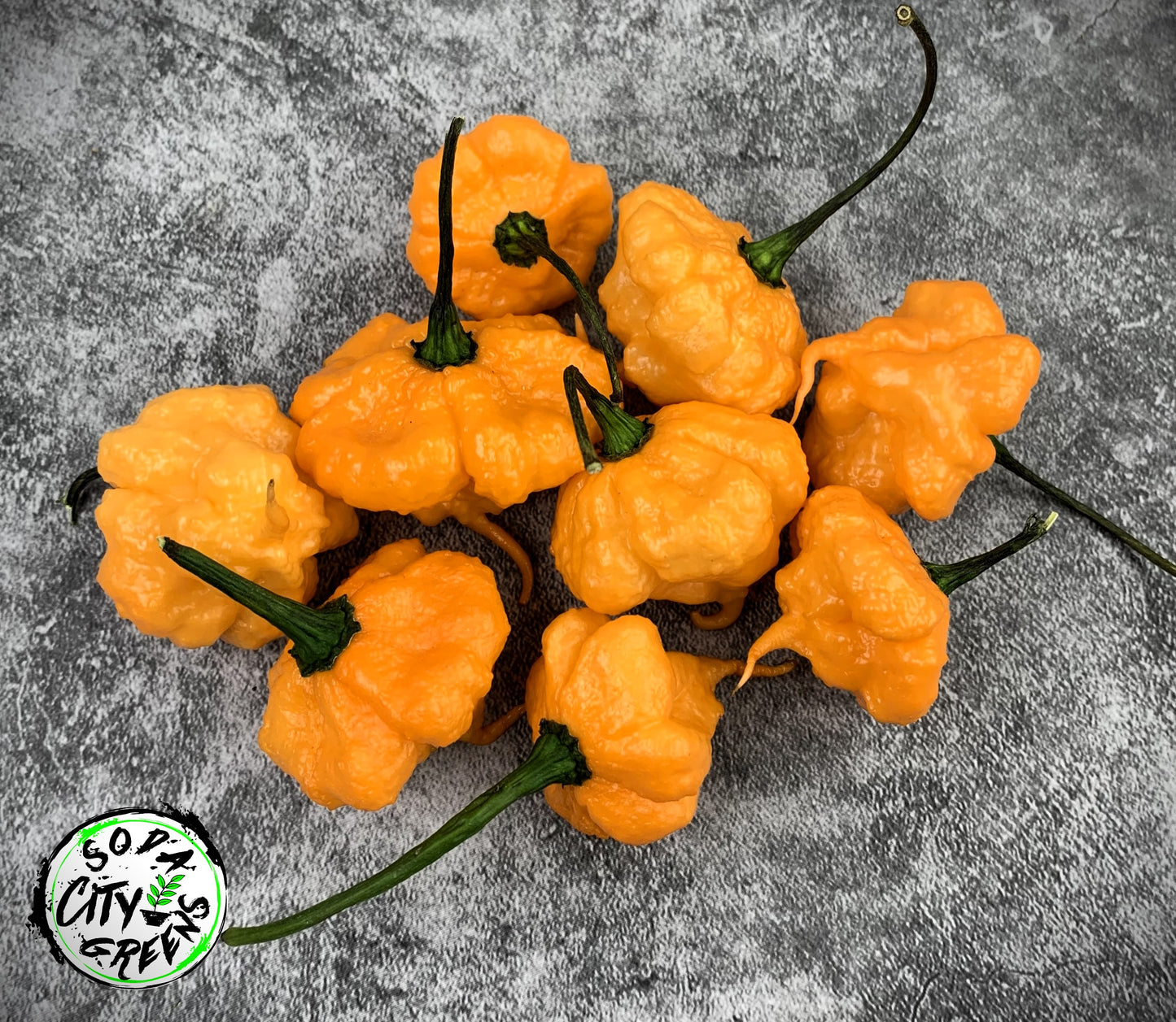 KS Peach Starrkist KSPS Pepper Seeds