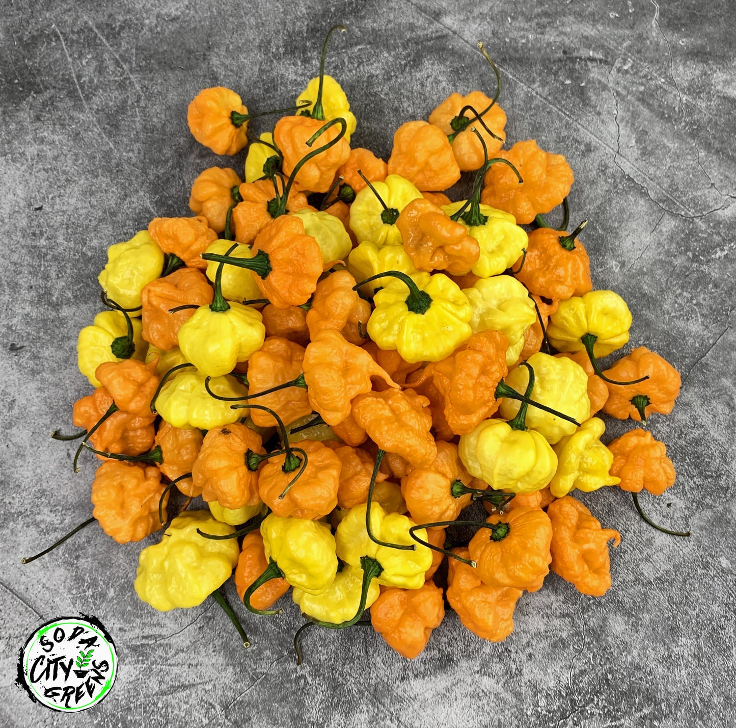 Sweet Heat Pepper Seed Variety Pack (You choose!)