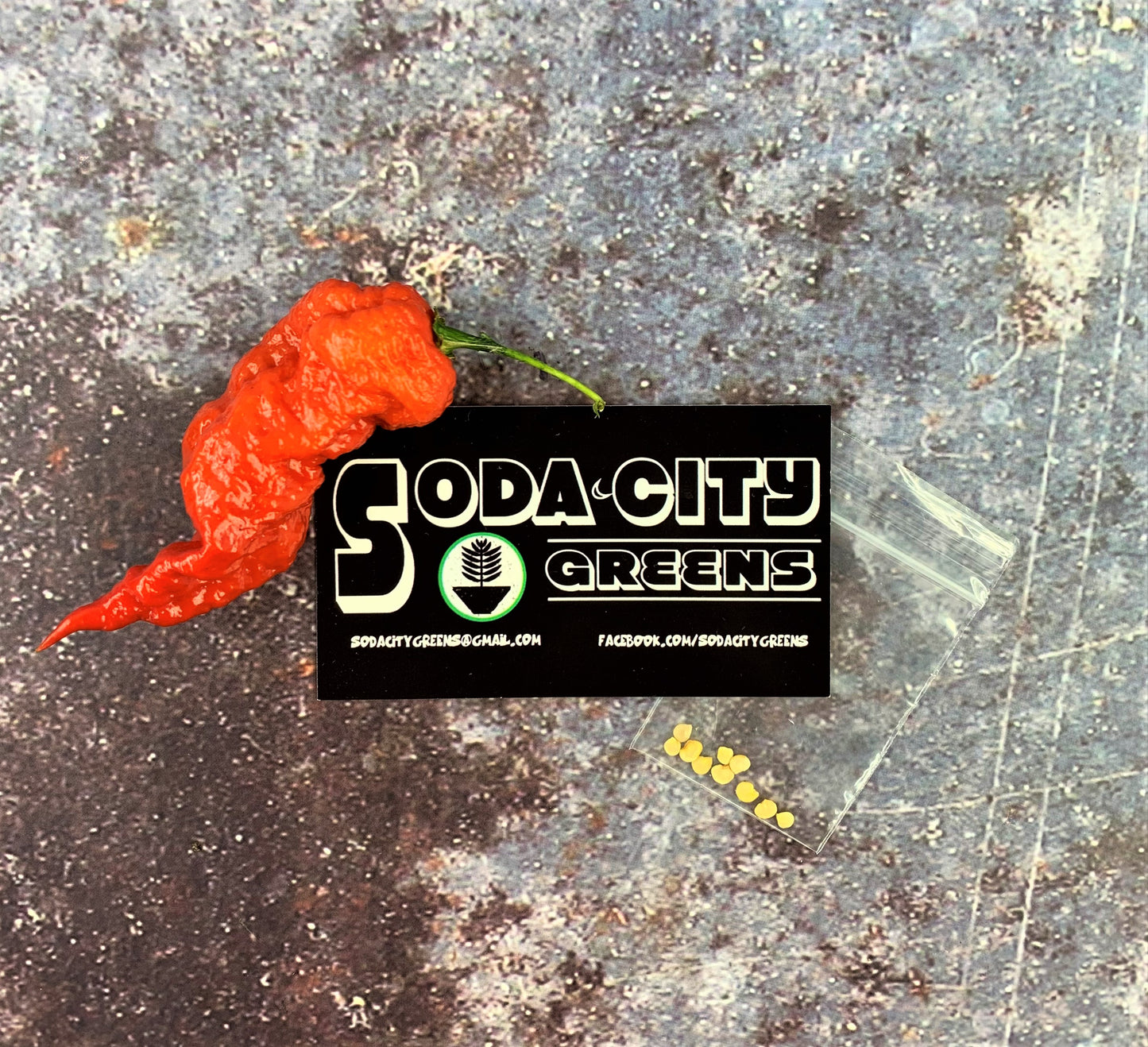 Leviathan Scorpion Pepper Seeds
