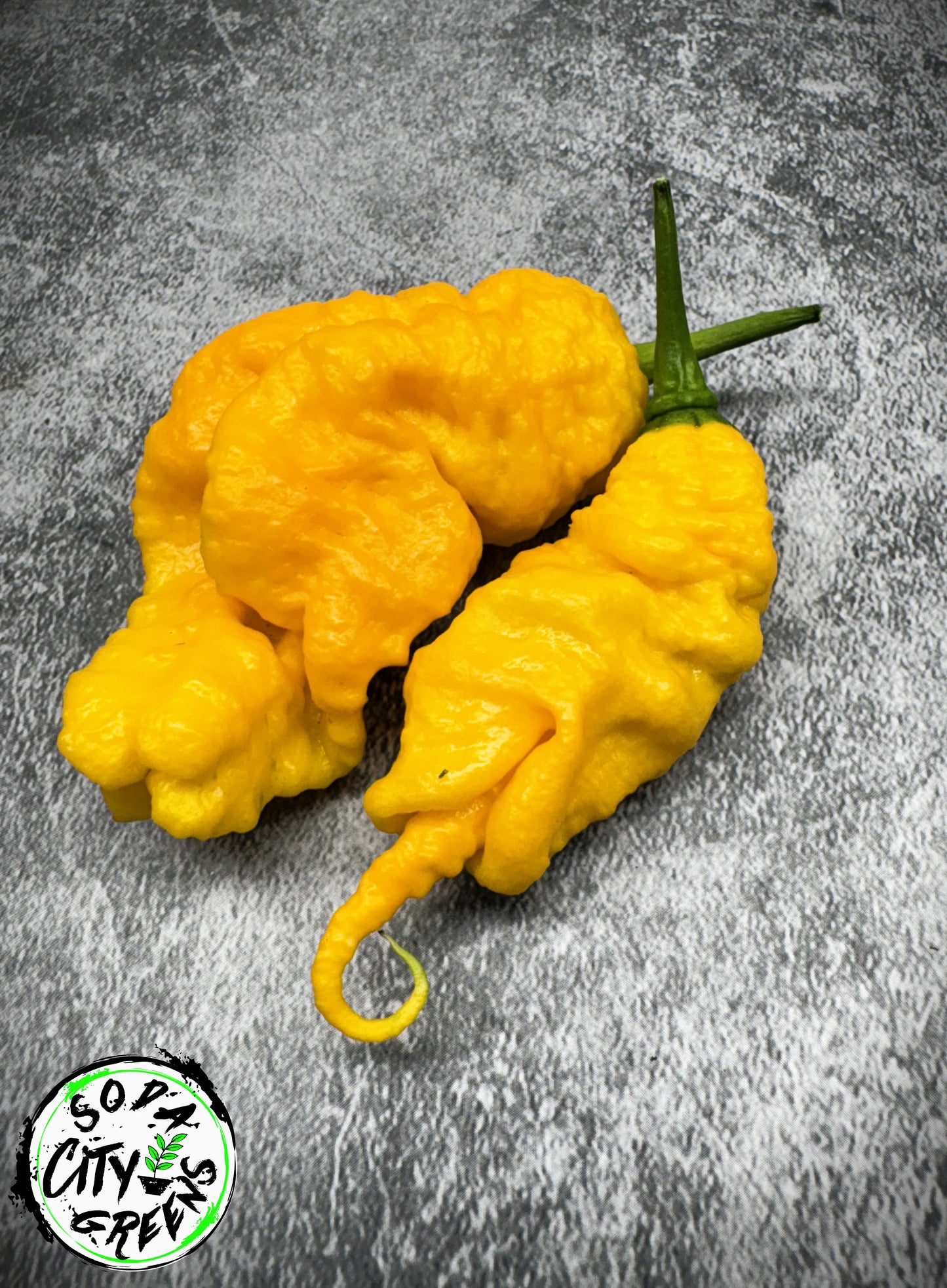 Mantis Claw Pepper Seeds