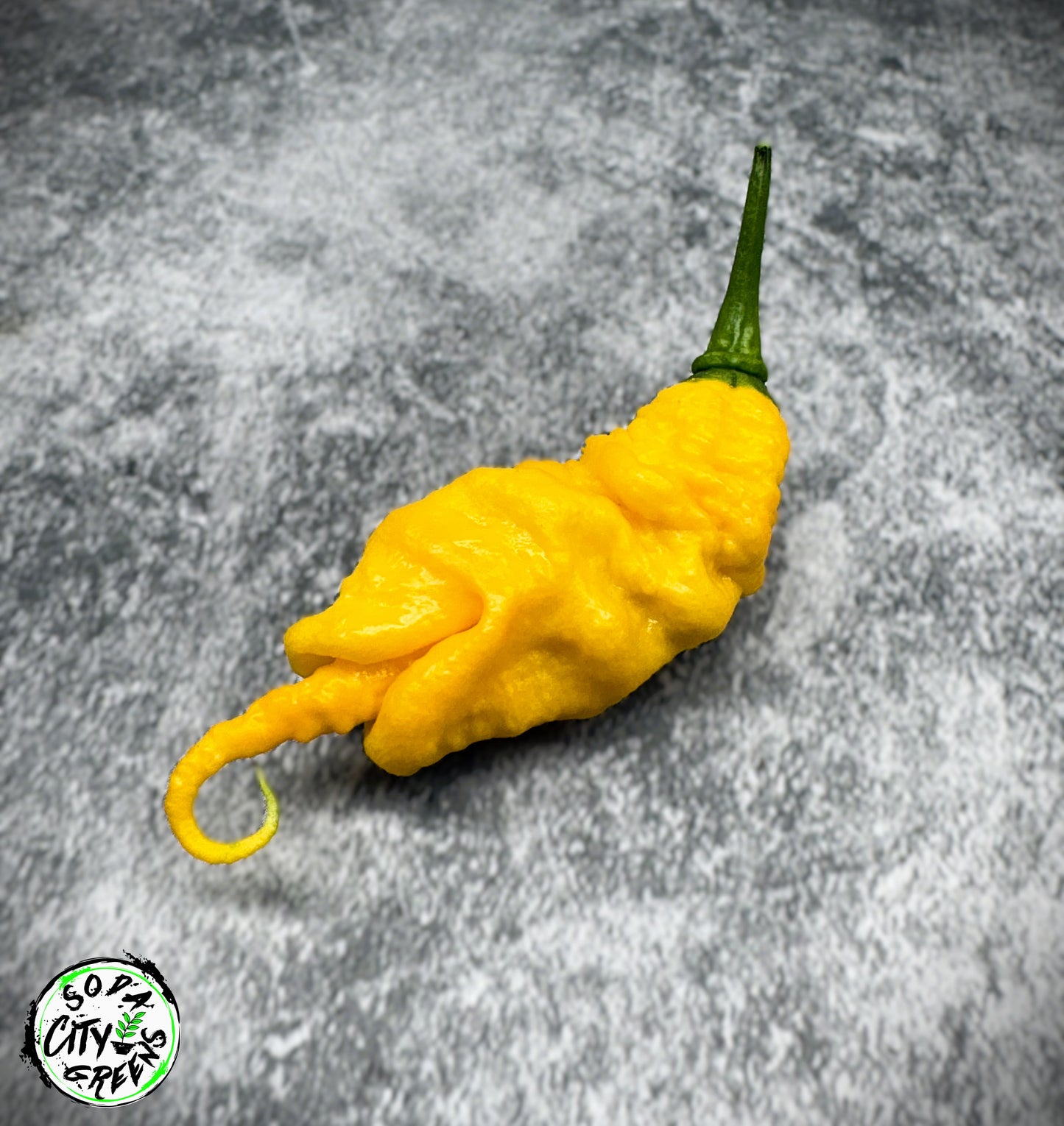 Mantis Claw Pepper Seeds
