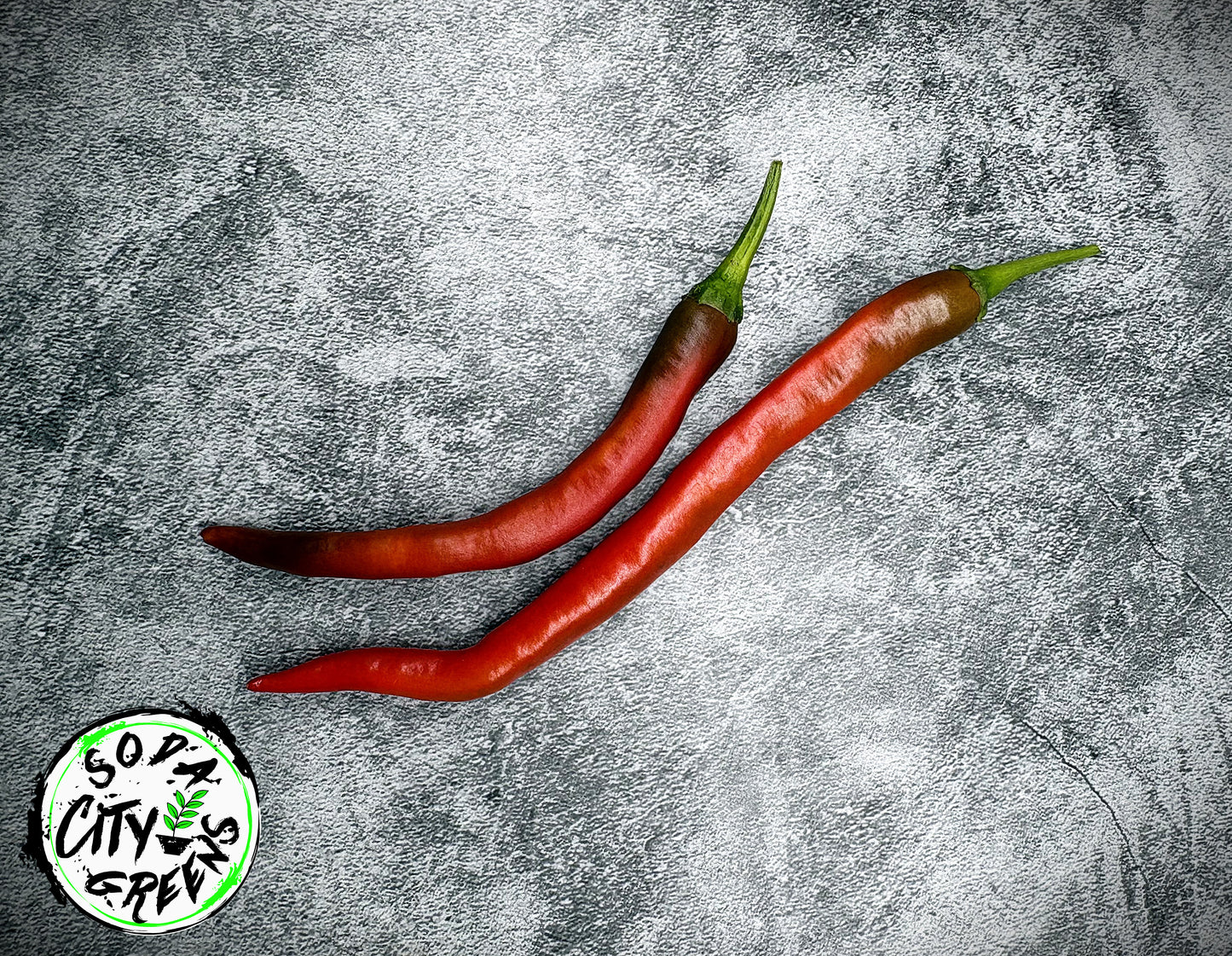 Mattahorn Variegated Pepper Seeds