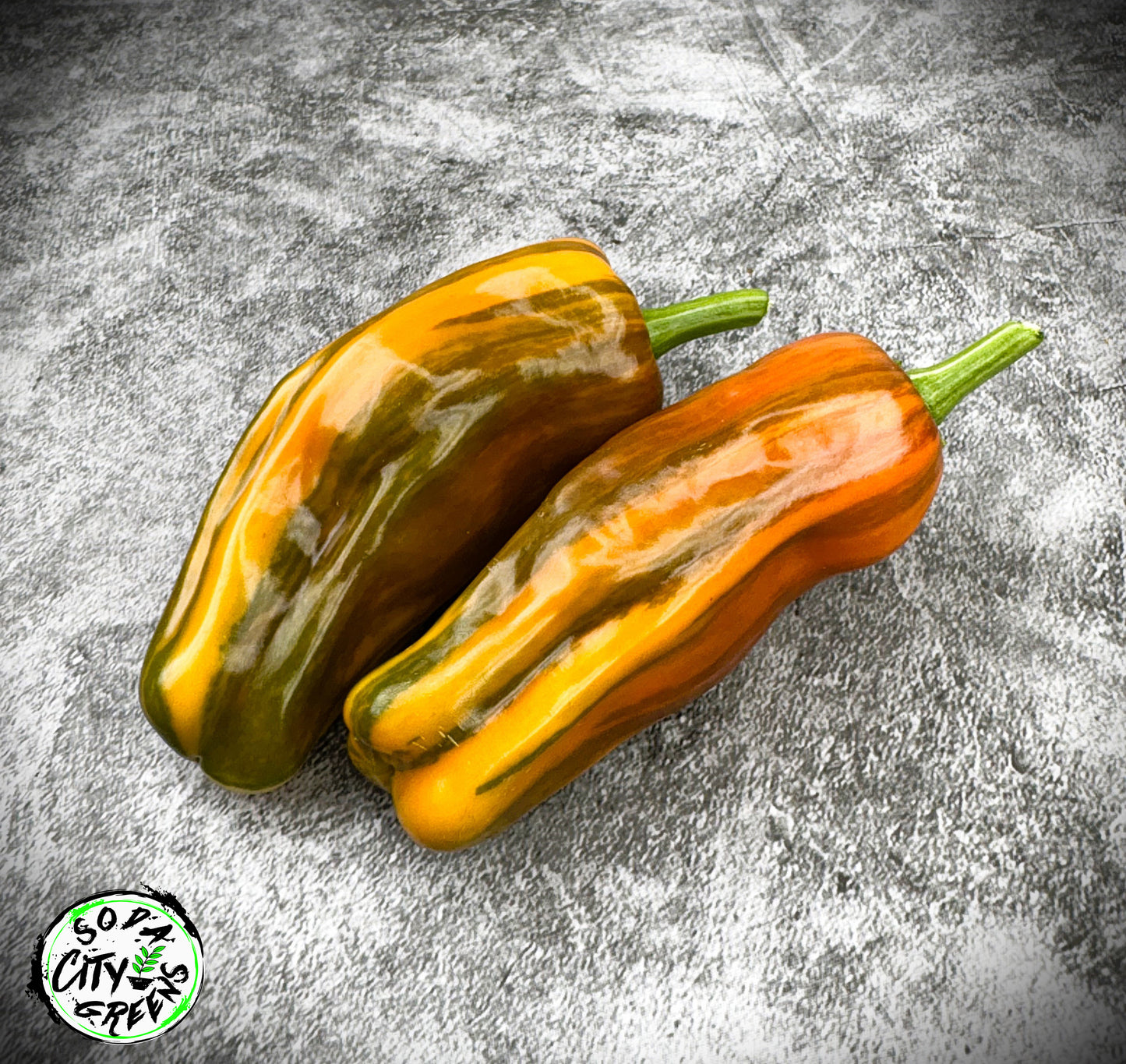 Variegated Pepper Seed Variety Pack (You choose!)