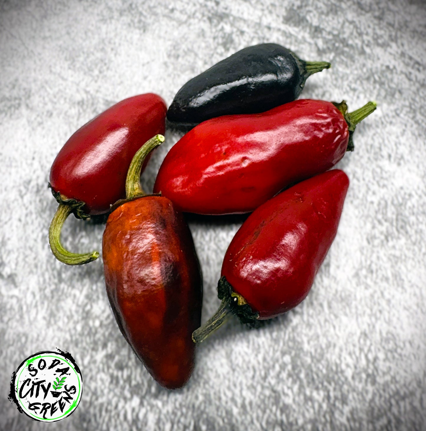 Red Pepper Seed Variety Pack (You choose!)