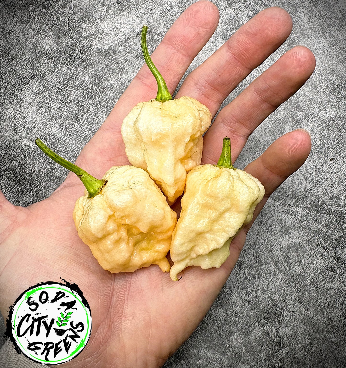Miasma Peach Pepper Seeds