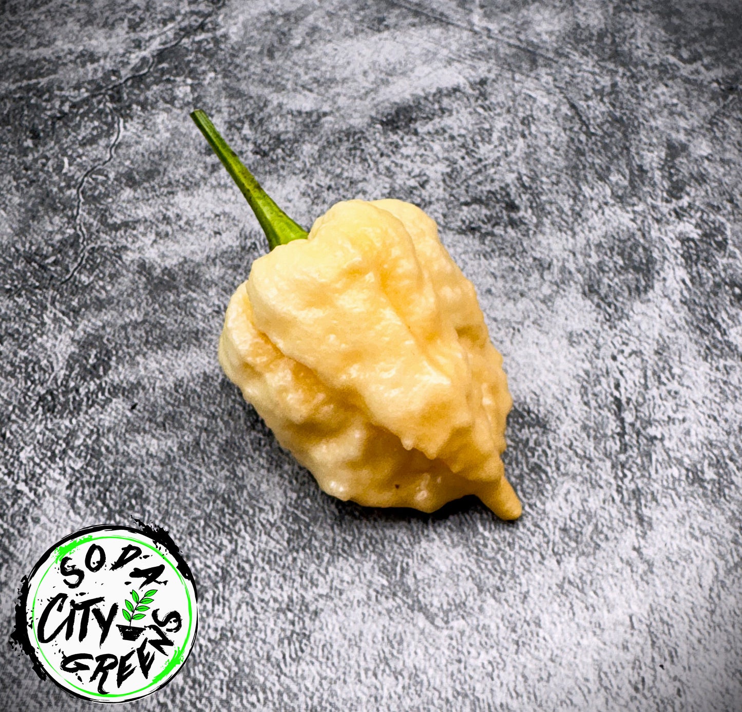 Miasma Peach Pepper Seeds