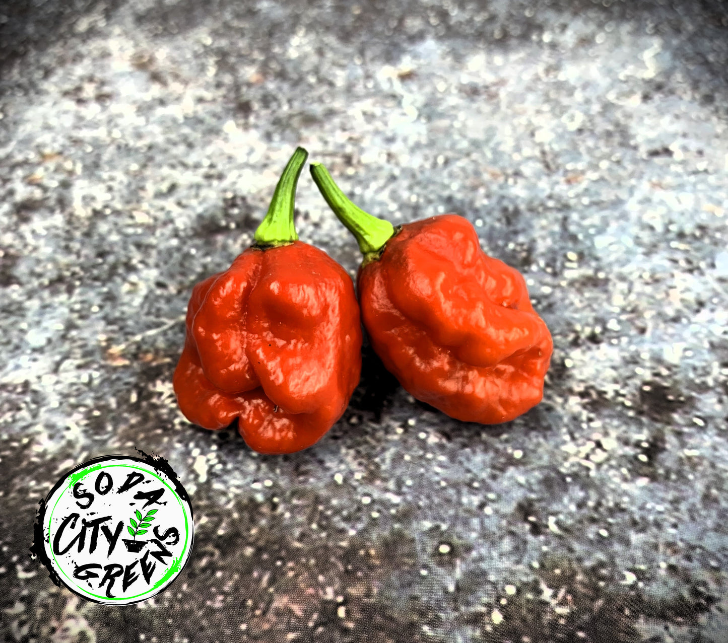 Sweet Moruga Scorpion Pepper Seeds