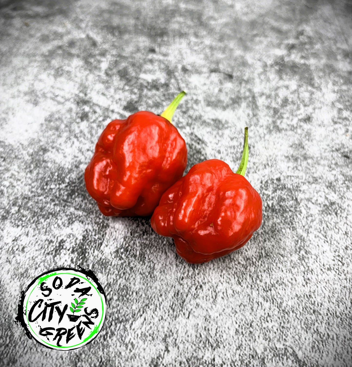 Sweet Moruga Scorpion Pepper Seeds