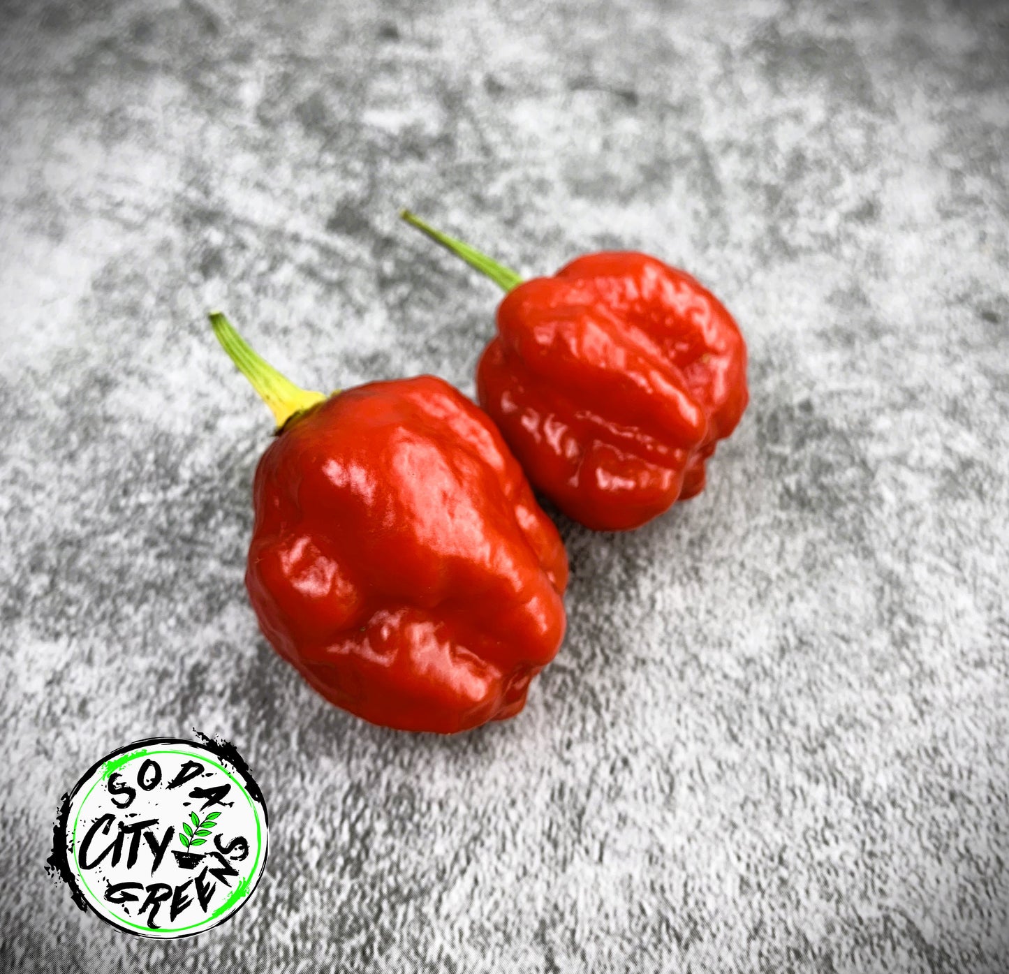 Sweet Moruga Scorpion Pepper Seeds