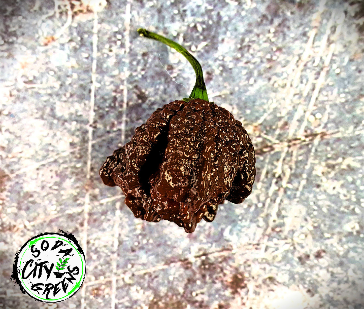 Naglah Beast Caramel Pepper Seeds