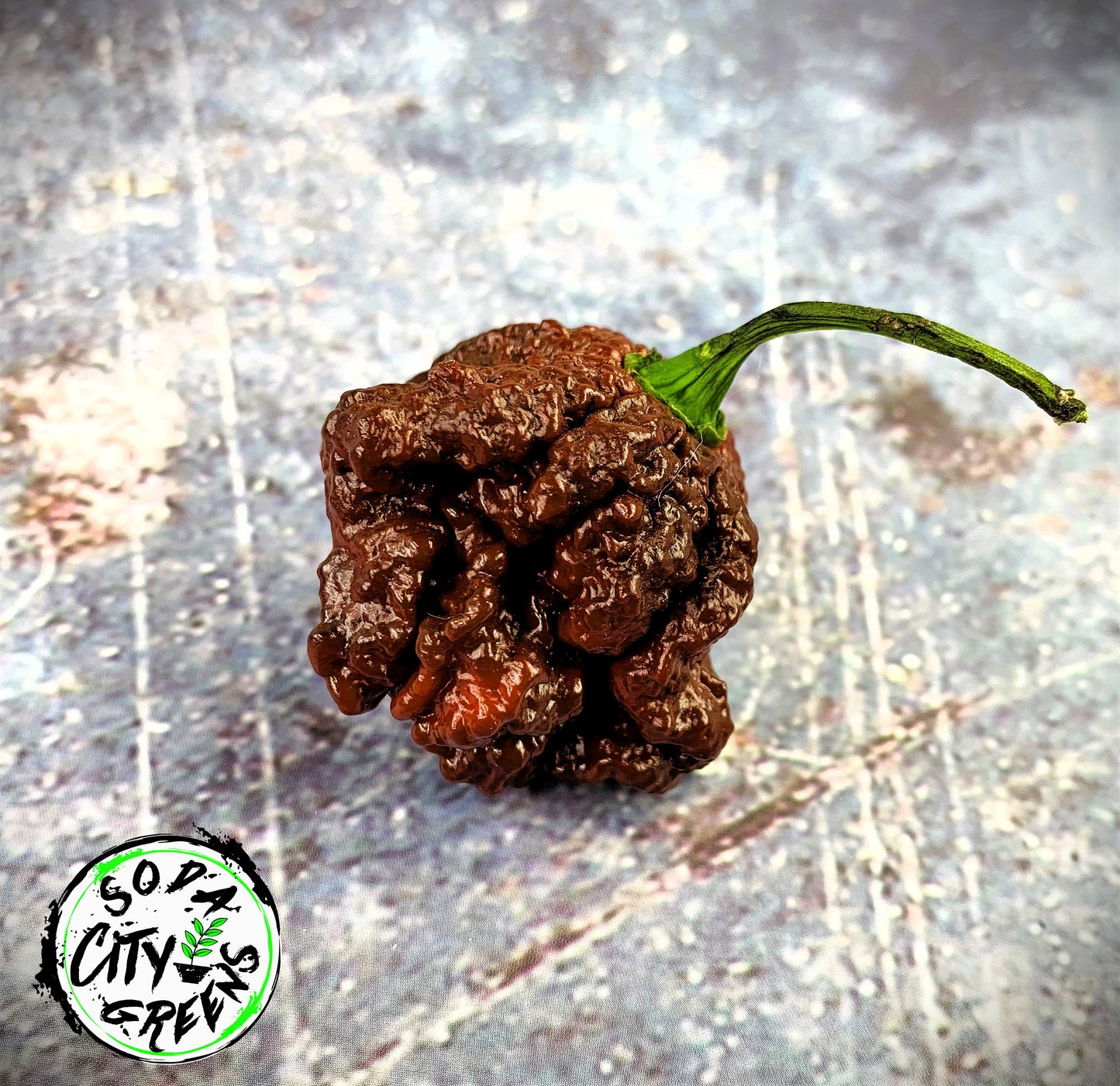 Naglah Beast Caramel Pepper Seeds