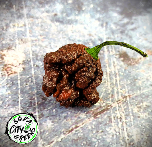 Naglah Beast Caramel Pepper Seeds