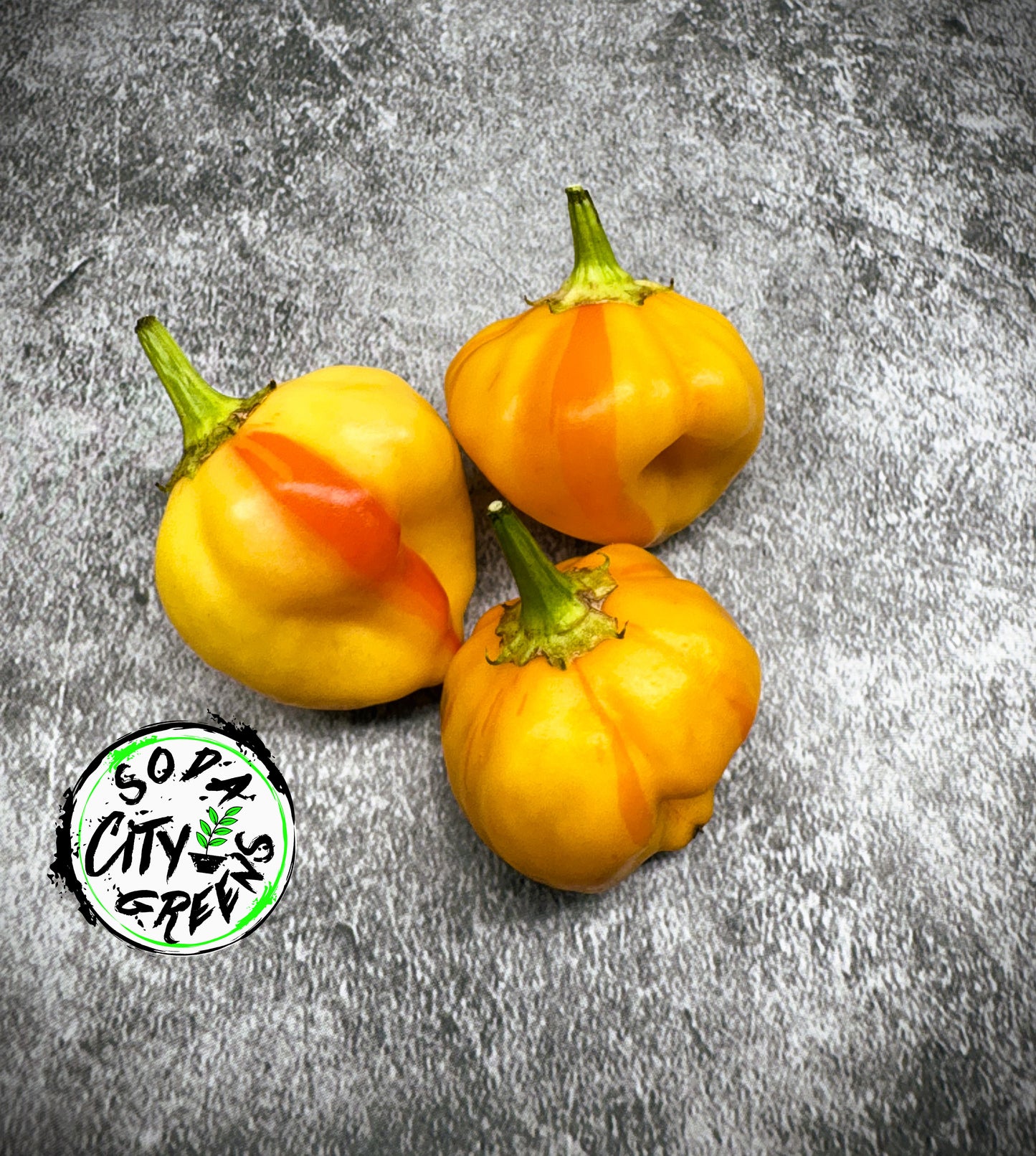 Peppapeach Stripey Pepper Seeds