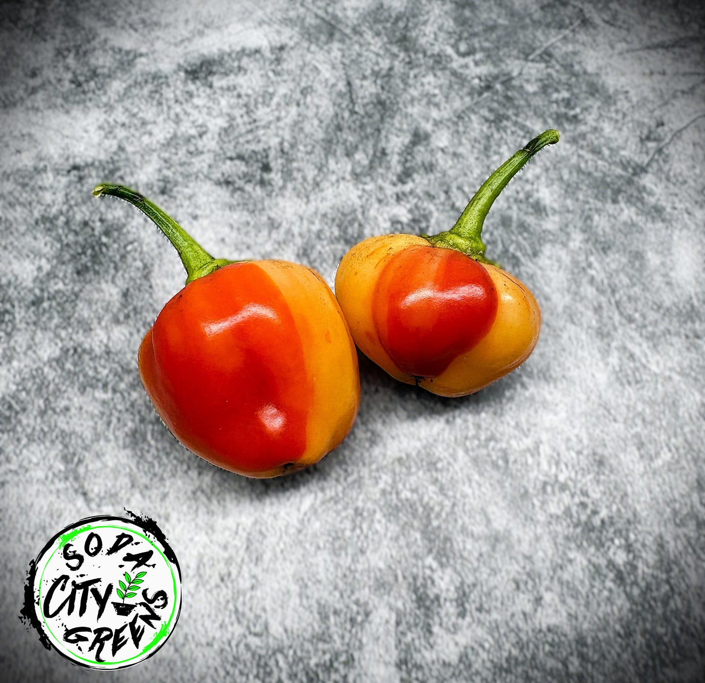 Peppapeach Stripey Pepper Seeds
