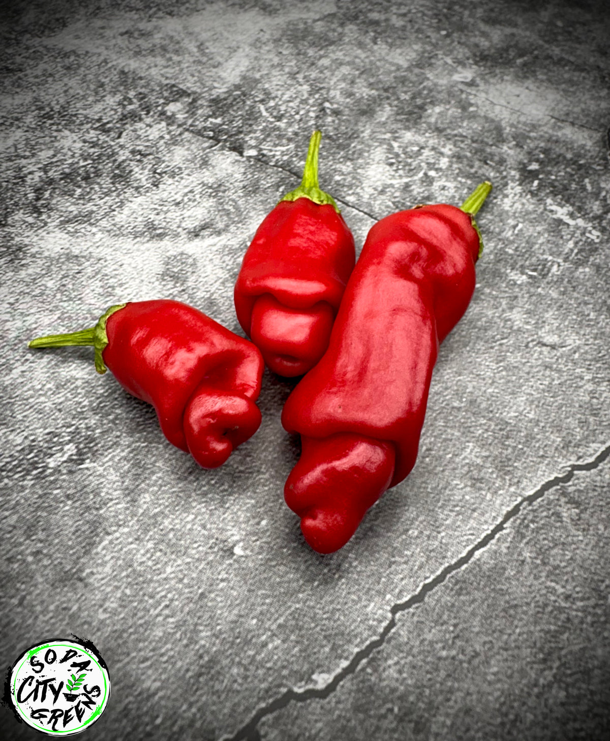 Peter (P***S) XXX Rated Pepper Seeds