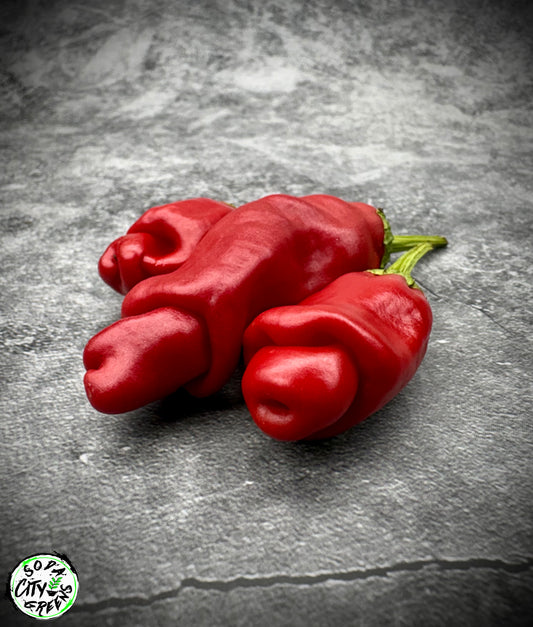 Peter (P***S) XXX Rated Pepper Seeds