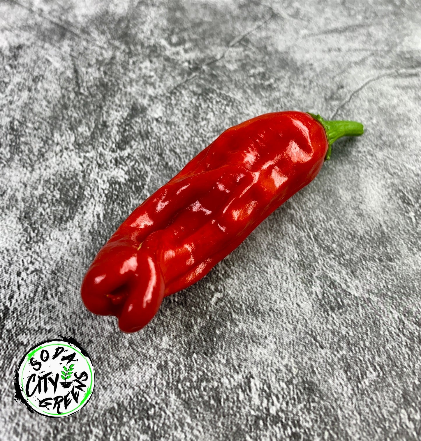 Sweet Heat Pepper Seed Variety Pack (You choose!)