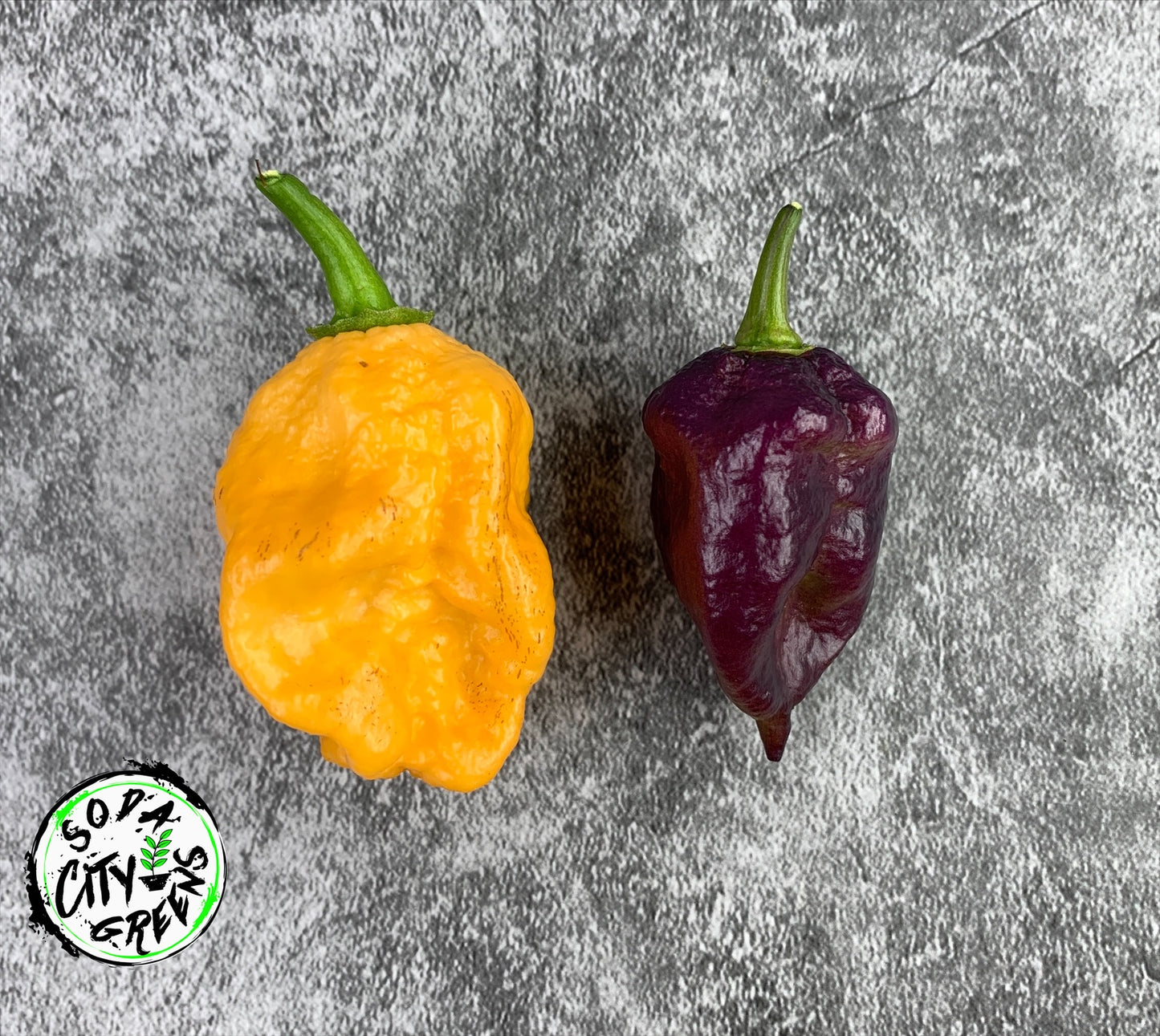 Pink Tiger Pepper Seeds