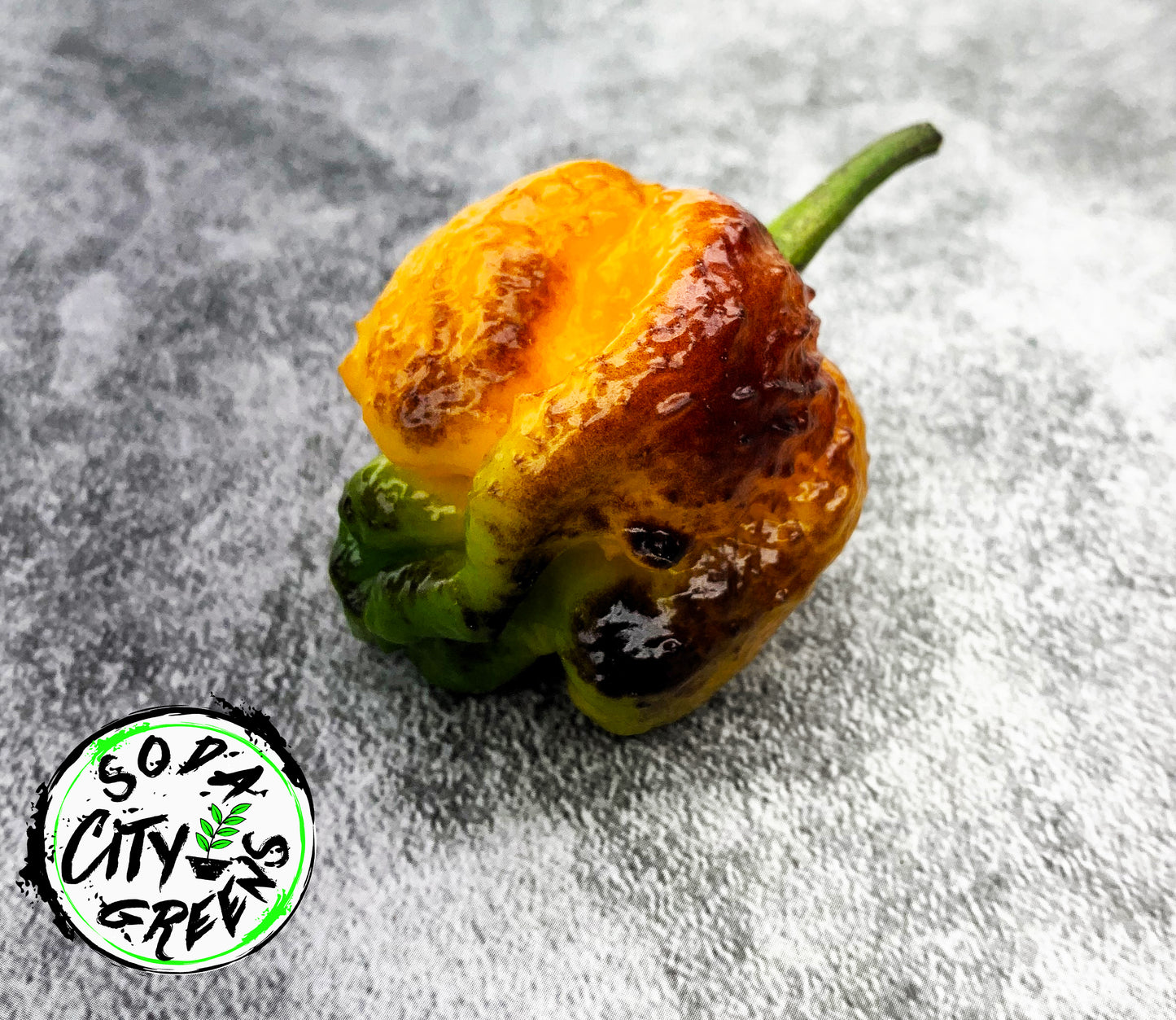 Pockmark Orange Pepper Seeds
