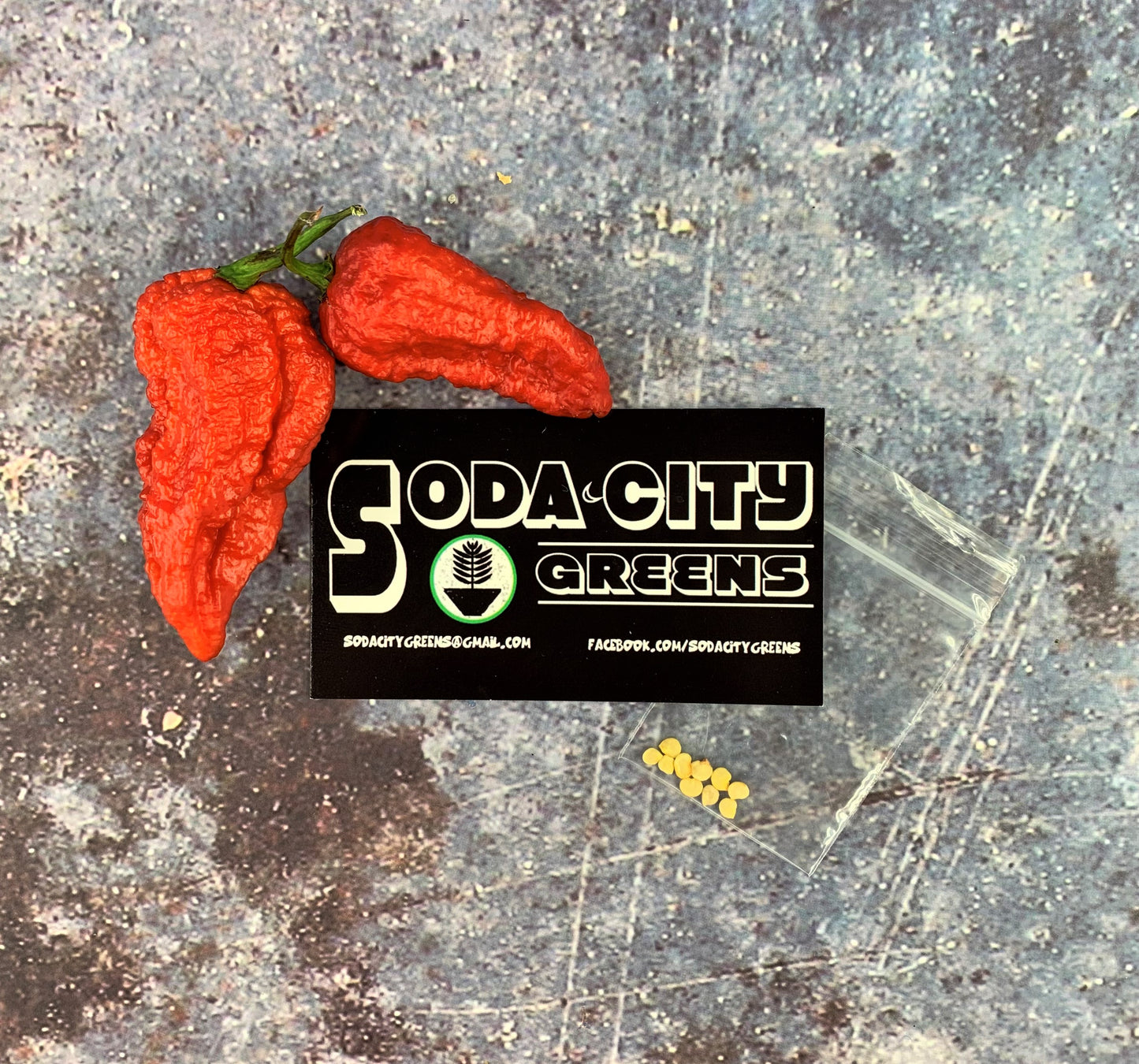 Purple Massacre Pepper Seeds